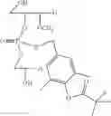 Fig. 41 - Nucleotide and oligonucleotide prodrugs
