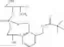 Fig. 46 - Nucleotide and oligonucleotide prodrugs