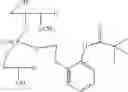 Fig. 48 - Nucleotide and oligonucleotide prodrugs