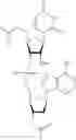 Fig. 67 - Nucleotide and oligonucleotide prodrugs