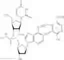 Fig. 71 - Nucleotide and oligonucleotide prodrugs