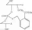Fig. 72 - Nucleotide and oligonucleotide prodrugs