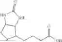 Fig. 74 - Nucleotide and oligonucleotide prodrugs
