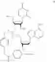 Fig. 92 - Nucleotide and oligonucleotide prodrugs