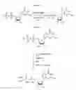 Fig. 02 - Compositions and methods for synthesizing 5′-capped RNAs