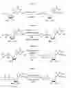 Fig. 03 - Compositions and methods for synthesizing 5′-capped RNAs