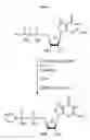 Fig. 04 - Compositions and methods for synthesizing 5′-capped RNAs