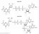 Fig. 07 - Compositions and methods for synthesizing 5′-capped RNAs