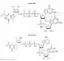 Fig. 08 - Compositions and methods for synthesizing 5′-capped RNAs
