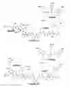 Fig. 22 - HER2 peptide regents and methods