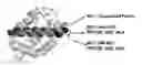 Fig. 01 - WARHEAD-CONTAINING PEPTIDOMIMETIC MACROCYCLES AS MODULATORS OF BFL-1