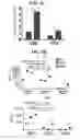 Fig. 14 - Immune cell compositions and methods of use