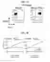 Fig. 20 - Immune cell compositions and methods of use
