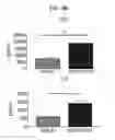 Fig. 24 - Immune cell compositions and methods of use