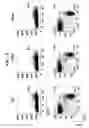 Fig. 26 - Immune cell compositions and methods of use