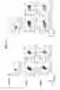 Fig. 28 - Immune cell compositions and methods of use