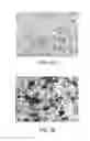 Fig. 07 - Methods of modulating immune responses using BCMA polypeptide