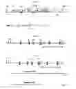 Fig. 02 - Materials and methods for treatment of hemoglobinopathies