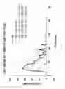 Fig. 28 - Modified serpins for the treatment of bleeding disorders