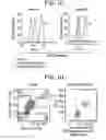 Fig. 03 - Binding molecules specific for ASCT2 and uses thereof