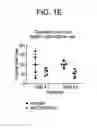 Fig. 04 - Binding molecules specific for ASCT2 and uses thereof