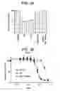 Fig. 06 - Binding molecules specific for ASCT2 and uses thereof