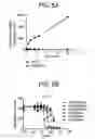 Fig. 08 - Binding molecules specific for ASCT2 and uses thereof