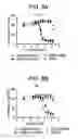Fig. 12 - Binding molecules specific for ASCT2 and uses thereof