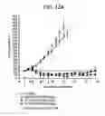 Fig. 16 - Binding molecules specific for ASCT2 and uses thereof