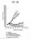 Fig. 17 - Binding molecules specific for ASCT2 and uses thereof