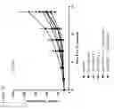 Fig. 10 - Combination therapy for treatment of disease