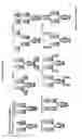 Fig. 10 - Antibody molecules which bind CD22
