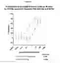 Fig. 20 - Antibody molecules which bind CD22