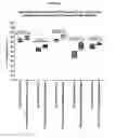 Fig. 26 - Antibody molecules which bind CD22