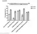Fig. 29 - Antibody molecules which bind CD22