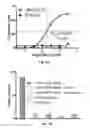 Fig. 07 - Bispecific HER2 and CD3 binding molecules