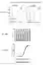 Fig. 26 - Bispecific HER2 and CD3 binding molecules