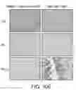 Fig. 45 - Bispecific HER2 and CD3 binding molecules
