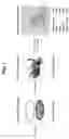 Fig. 02 - GENERATION OF HUMAN MACROPHAGES IN IMMUNODEFICIENT NON-HUMAN HOSTS