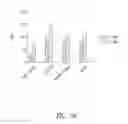 Fig. 10 - ANTI-CD40 ANTIBODIES AND METHODS OF USE