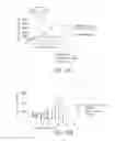 Fig. 13 - ANTI-CD40 ANTIBODIES AND METHODS OF USE