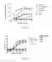 Fig. 30 - ANTI-CD40 ANTIBODIES AND METHODS OF USE