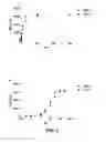 Fig. 05 - Antigen-binding constructs targeting HER2