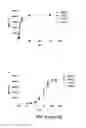 Fig. 06 - Antigen-binding constructs targeting HER2