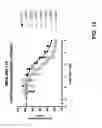 Fig. 28 - Antigen-binding constructs targeting HER2