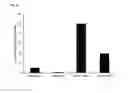 Fig. 11 - HER2 BINDING PROTEINS BASED ON DI-UBIQUITIN MUTEINS