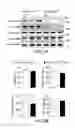 Fig. 04 - Methods and compositions for treatment of atherosclerosis