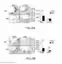 Fig. 07 - Methods and compositions for treatment of atherosclerosis