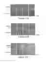 Fig. 40 - LIN28- MEDIATED CONTROL OF LET-7 BIOGENESIS