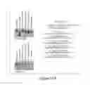 Fig. 52 - LIN28- MEDIATED CONTROL OF LET-7 BIOGENESIS